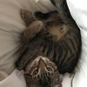 Meet your Posher, Bribrianna